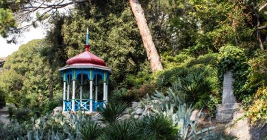 Экскурсия из Евпатории: Никитский ботанический сад + замок Ласточкино гнез фото 8531