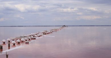 Розовое озеро Сасык-Сиваш, Лебединое и Грязевое озеро