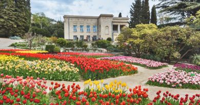 Экскурсия из Евпатории: Парад Тюльпанов в Никитском саду и Ливадийский дво фото 9515