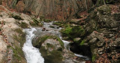 Авто-пешеходная экскурсия из Евпатории (фото 22)