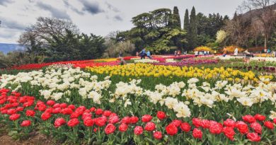 Экскурсии в Парад Тюльпанов в Никитском ботаническом саду из Заозерного 2024