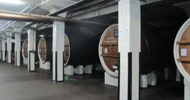 Авто-пешеходная экскурсия из Евпатории (фото 8)